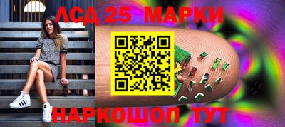 индика Краснознаменск