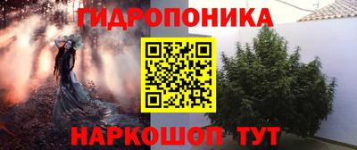 индика Краснознаменск