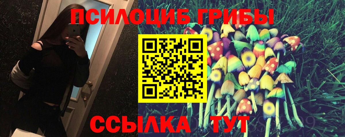 Псилоцибиновые грибы Cubensis  Вход с VPN  Псилоцибиновые грибы Cubensis  Камень-на-Оби 